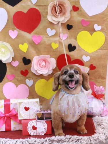 20230225チョビ助くん